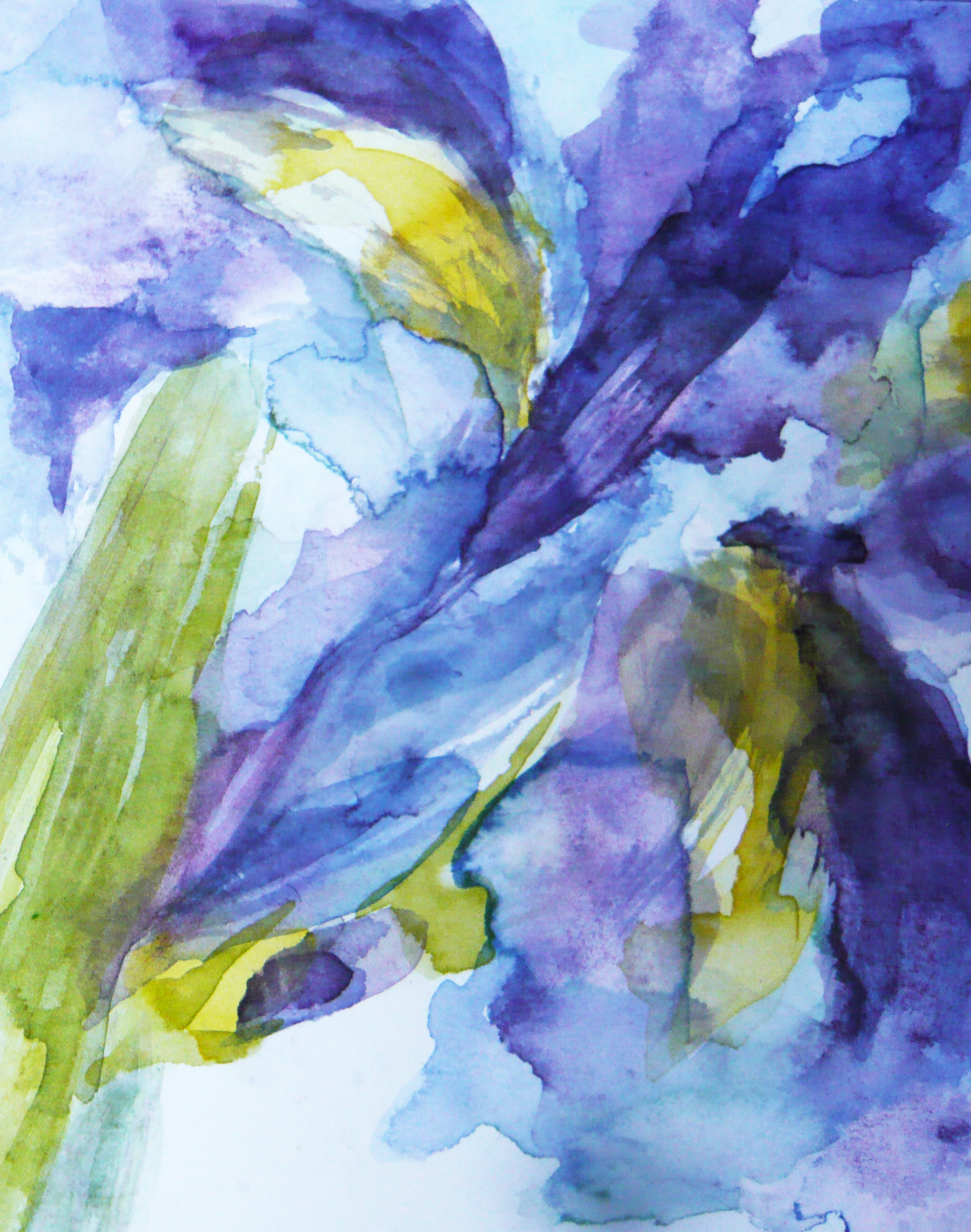 Poems & Plants Iris detail - 1