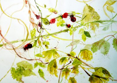 Of mutual things: Ginkgo, Hops and Dog rose hips, paired with Conversation by Christine De Luca