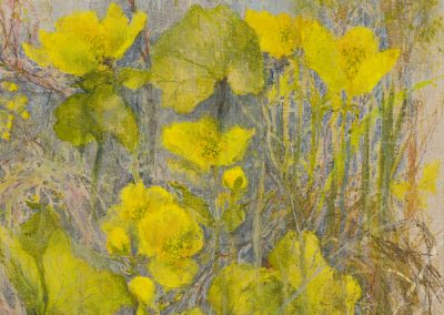 Marsh Messengers