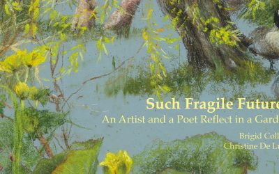 Meet the Authors Free Event and Book Launch